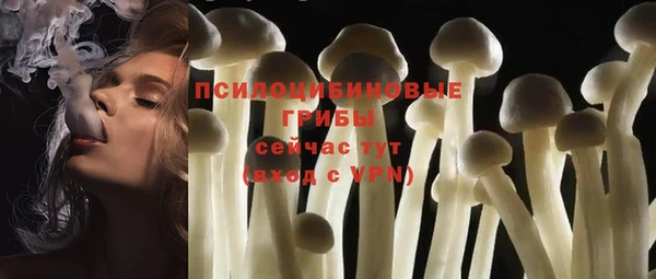 PSILOCYBIN Балабаново