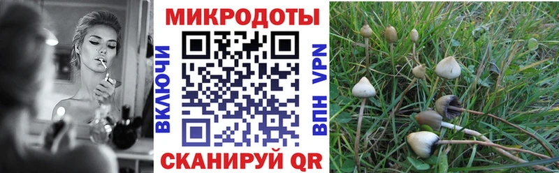 Галлюциногенные грибы Cubensis  закладка  Жуков 